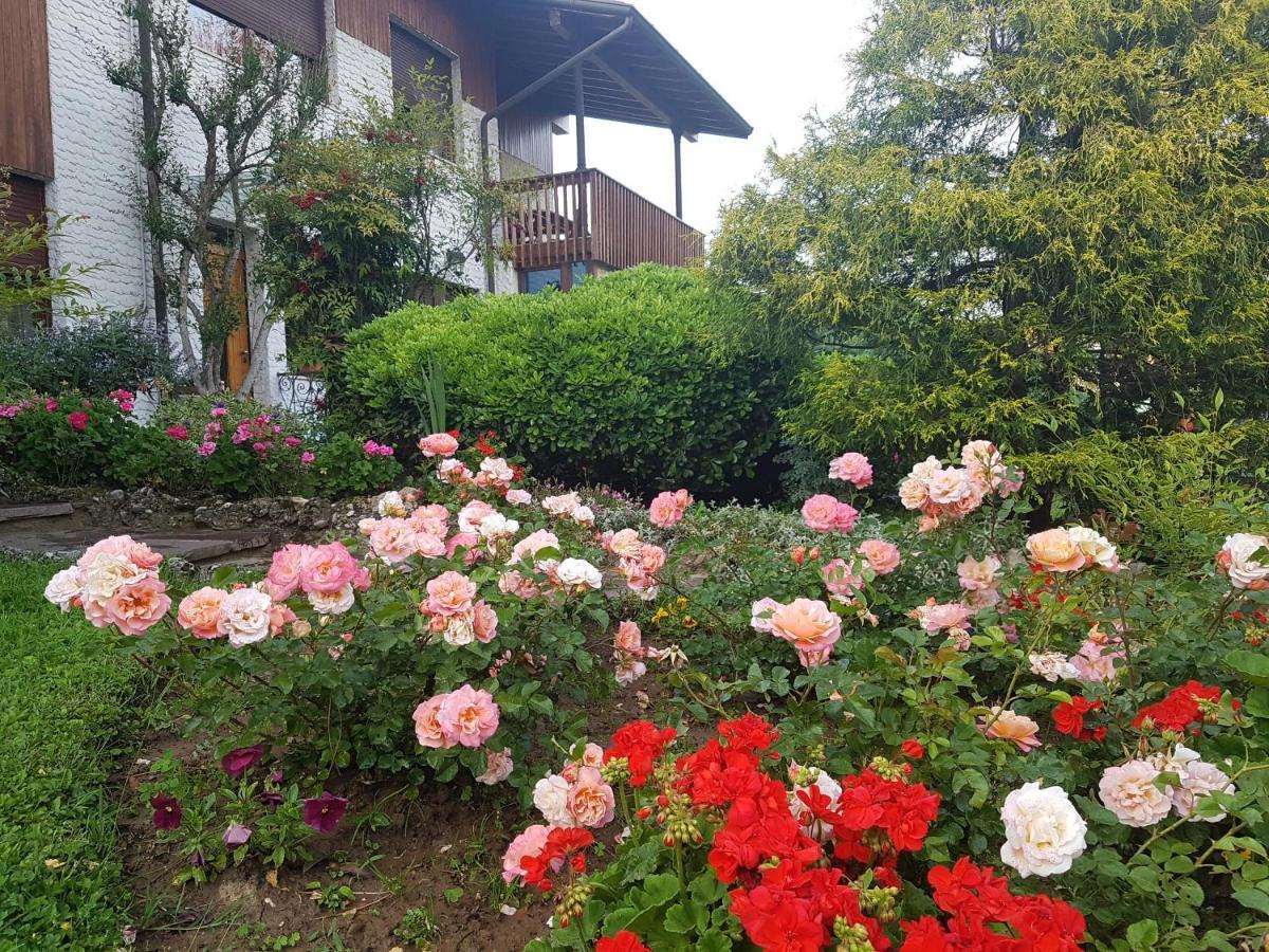 Curno B&B Fontanella المظهر الخارجي الصورة