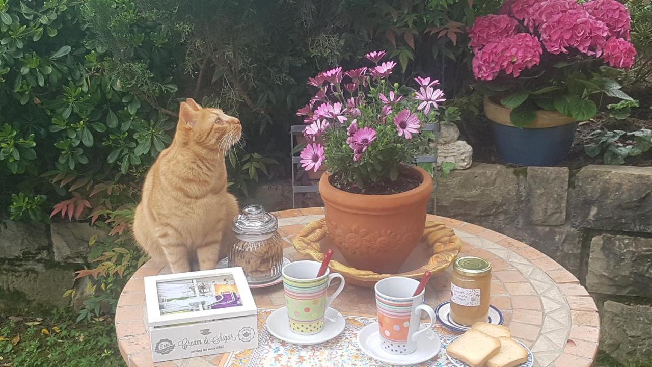 Curno B&B Fontanella المظهر الخارجي الصورة