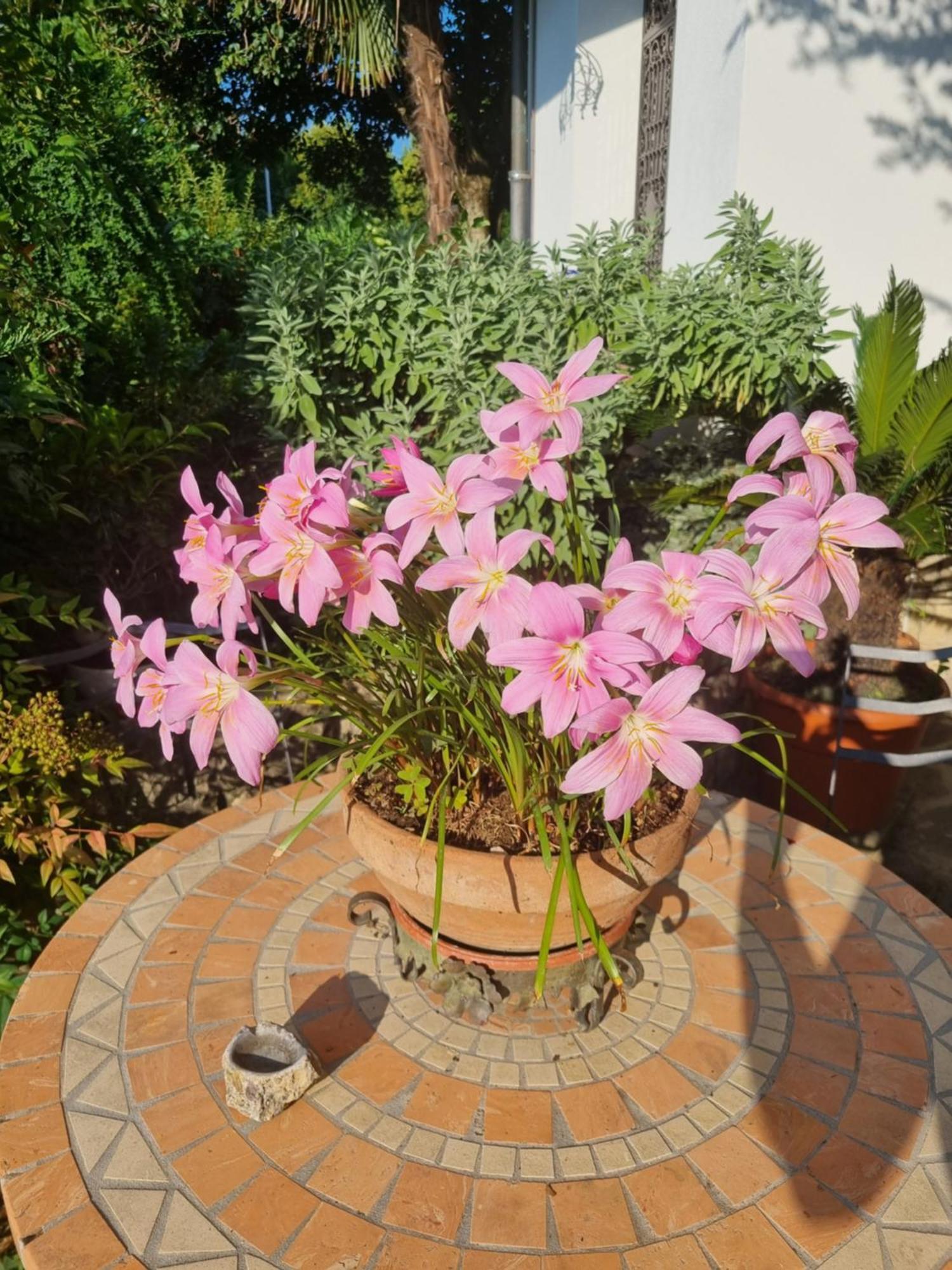 Curno B&B Fontanella المظهر الخارجي الصورة